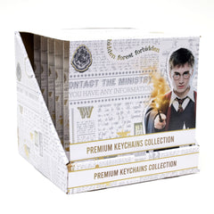 Harry Potter Mystery Premium Keychain