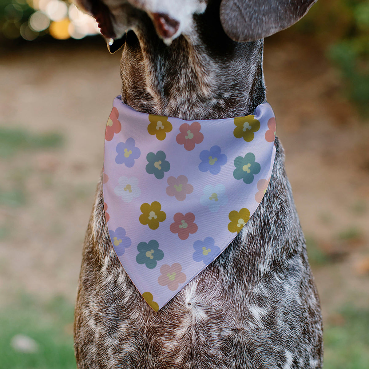Pet Bandana - Mickey Mouse Ears Flower Icon Scattered Pink