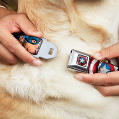 Captain America Shield2 CLOSE-UP Full Color Seatbelt Buckle Collar - Captain America Face Turns/Shield CLOSE-UP