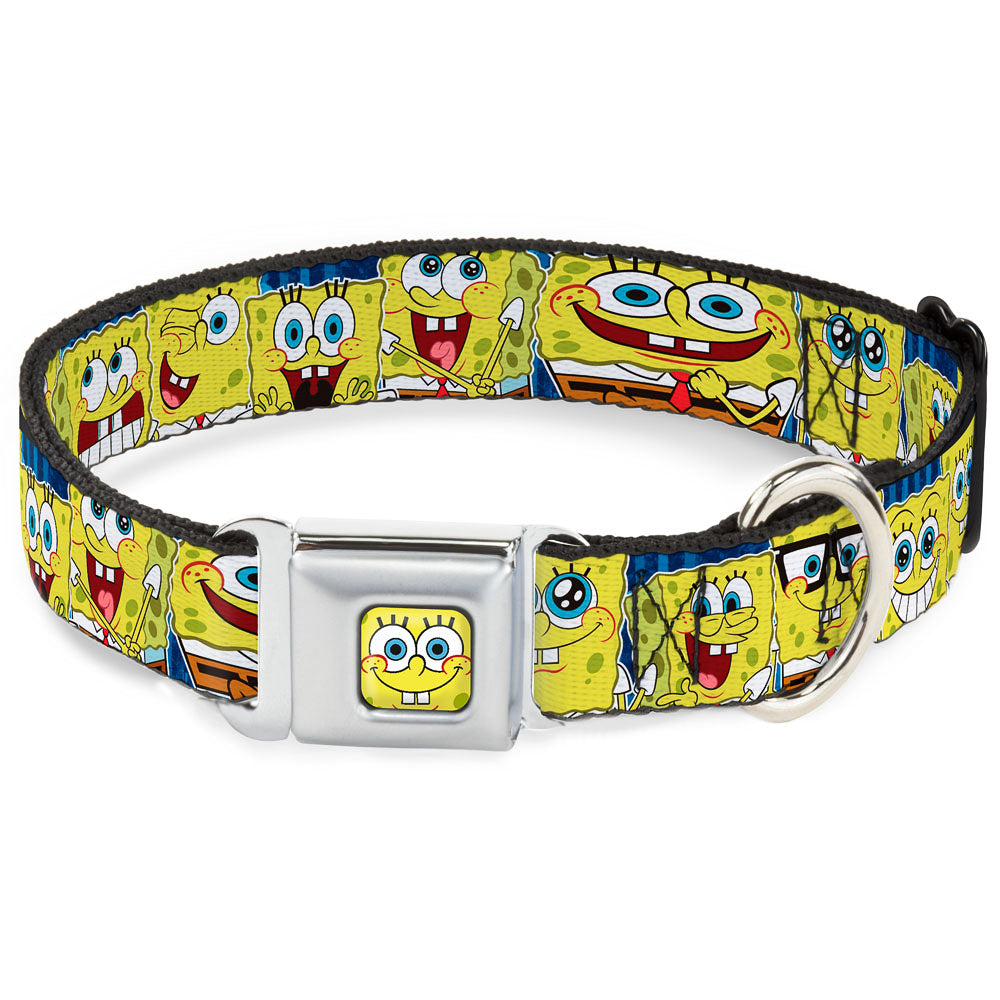 Sponge Bob Face CLOSE-UP Full Color Seatbelt Buckle Collar - SpongeBob Expressions Stripe Blue