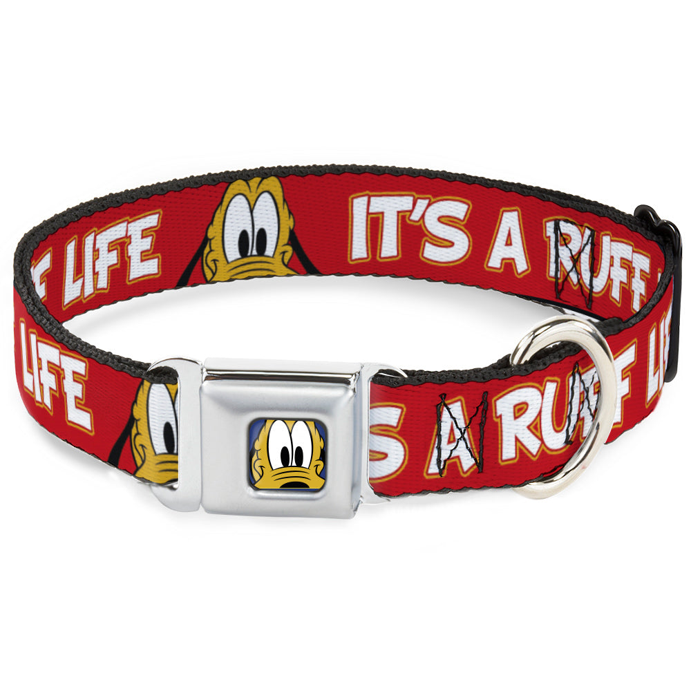 Pluto Face CLOSE-UP Full Color Blue Seatbelt Buckle Collar - Pluto 2-Pose IT&#39;S A RUFF LIFE Red/Yellow/White