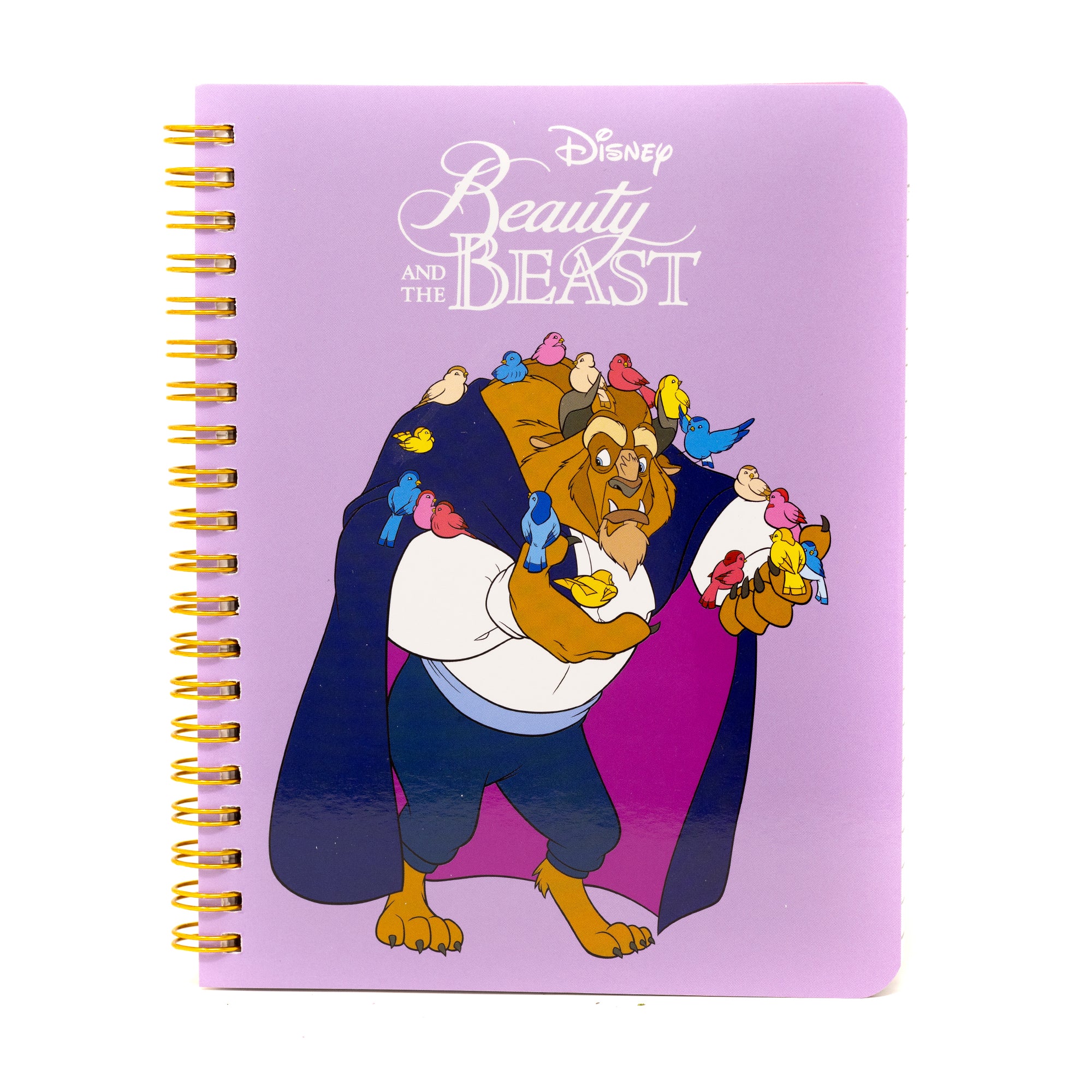 Disney Beauty and the Beast Notebook