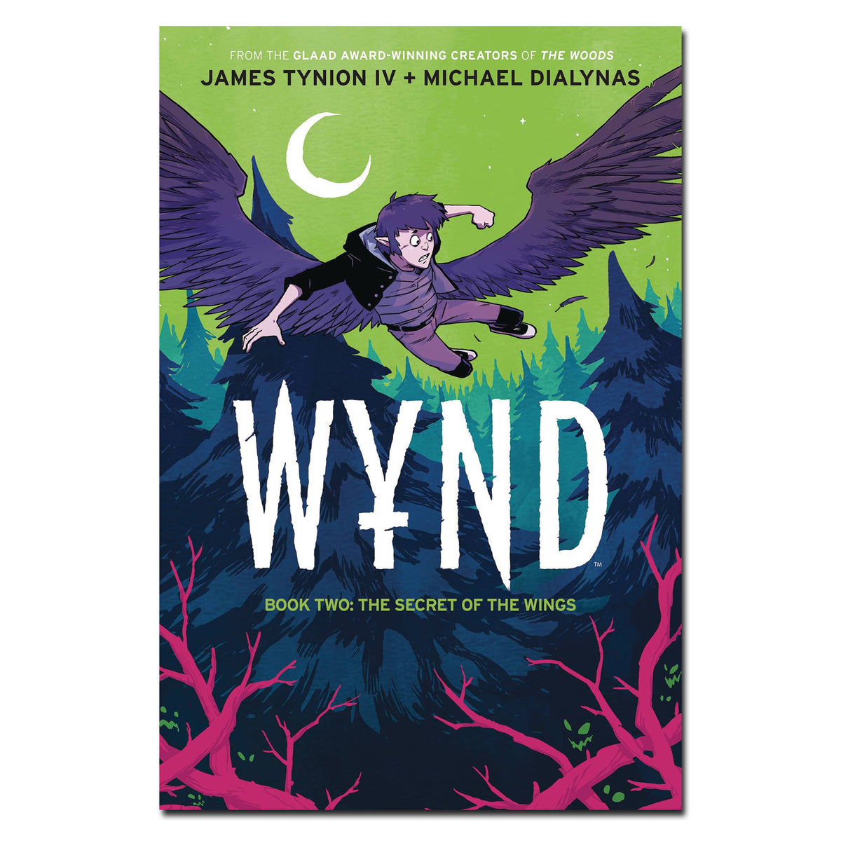 WYND Book Two: The Secret of the Wings