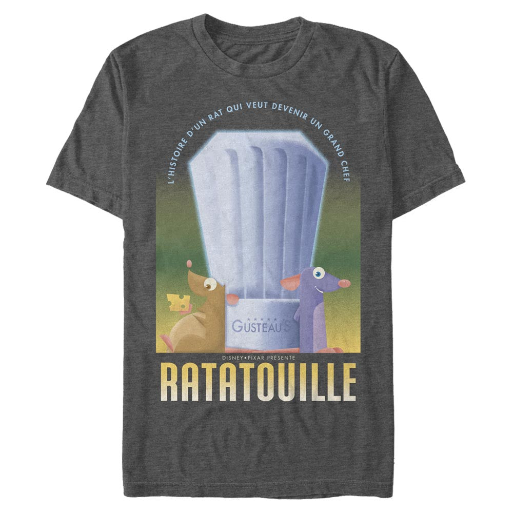 Ratatouille Histoire Dun Rat Poster